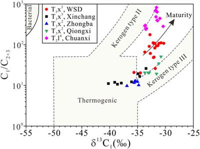 Geochemical Characteristics and Origin of Tight Gas in Member Two of the Upper Triassic Xujiahe Formation in Western Sichuan Depression, Sichuan Basin, SW China